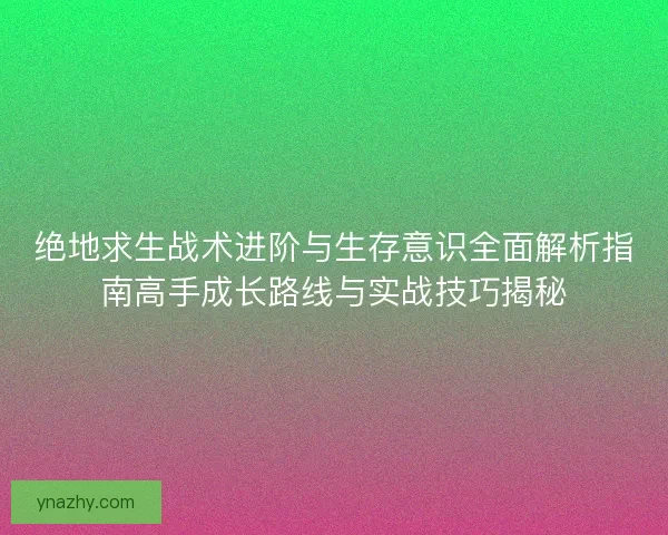 绝地求生战术进阶与生存意识全面解析指南高手成长路线与实战技巧揭秘 绝地求生战术进阶与生存意识全面解析指南高手成长路线与实战技巧揭秘
